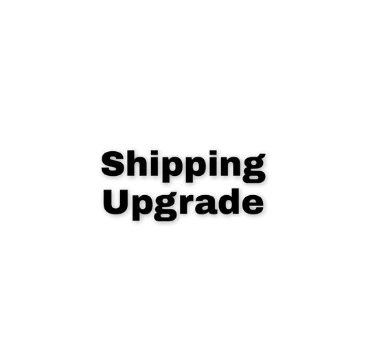 Mon Bijoux Fast Shipping Upgrade Service- Expedited Shipping for Jewelry - Get Your Jewelry Fast - Fast Shipping with Top Logistics Company